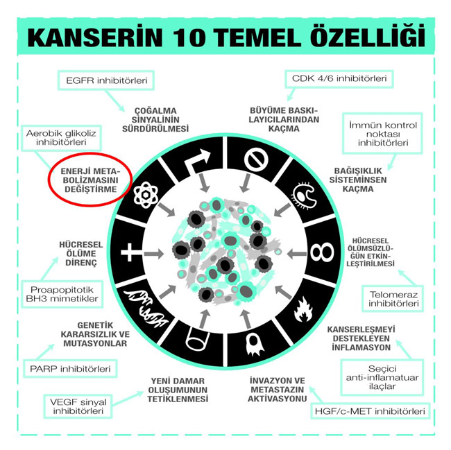 Kanser Hucresinin Sasirtici Enerji Metabolizmasi